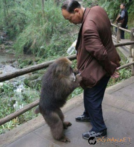 Най-интересни сники за днес - 13.05.2010 г.