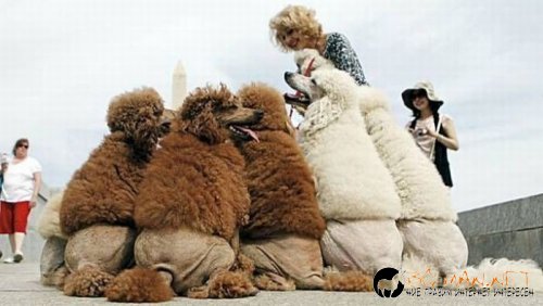 Най-интересни сники за днес - 13.05.2010 г.