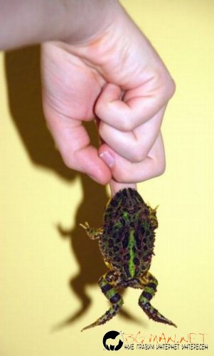 Най-интересни сники за днес - 13.05.2010 г.