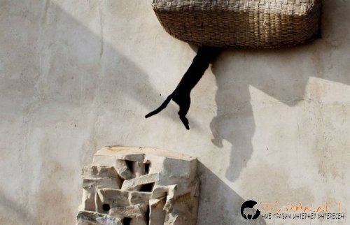 Най-интересни сники за днес - 13.05.2010 г.