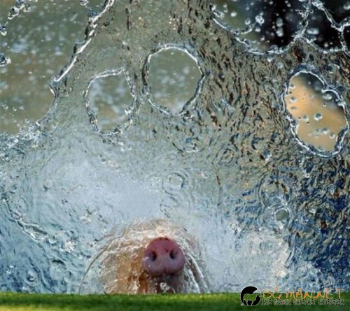 Най-интересни сники за днес - 13.05.2010 г.