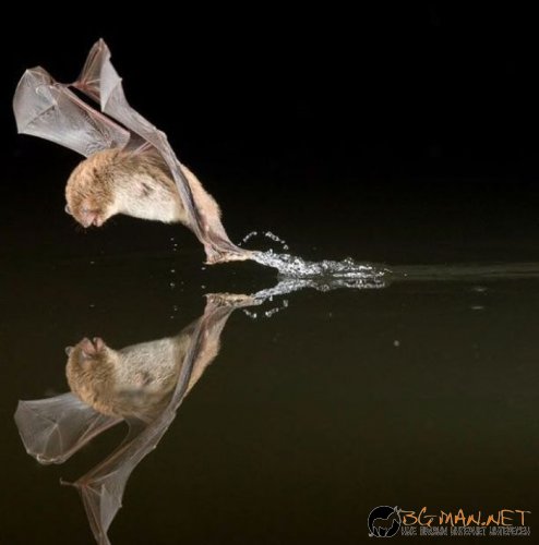 Най-интересни сники за днес - 13.05.2010 г.