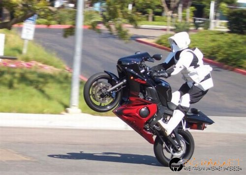 Най-интересни сники за днес - 13.05.2010 г.