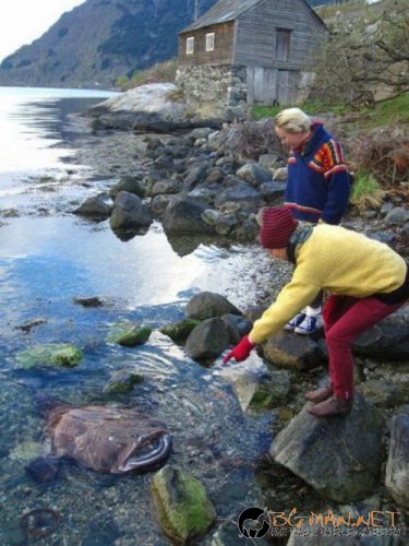 Най-интересни сники за днес - 13.05.2010 г.