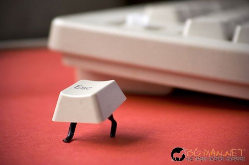 Най-интересни сники за днес - 13.05.2010 г.