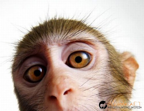 Най-интересни сники за днес - 14.05.2010 г.