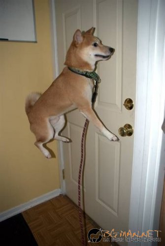 Най-интересни сники за днес - 17.05.2010 г.