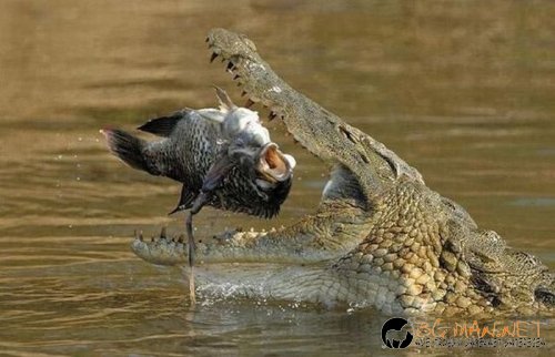 Най-интересни сники за днес - 17.05.2010 г.