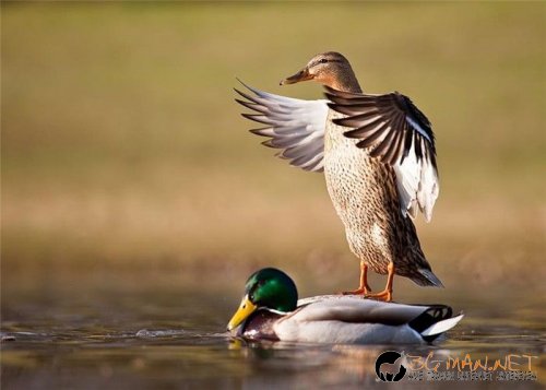 Най-интересни сники за днес - 17.05.2010 г.