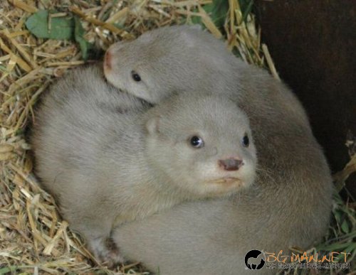 Най-интересни сники за днес - 17.05.2010 г.