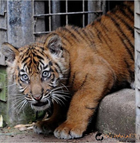 Най-интересни сники за днес - 17.05.2010 г.