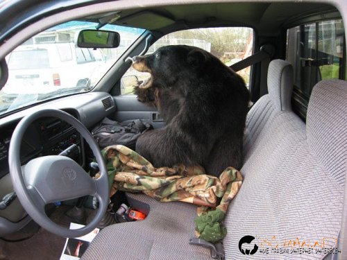 Най-интересни сники за днес - 17.05.2010 г.