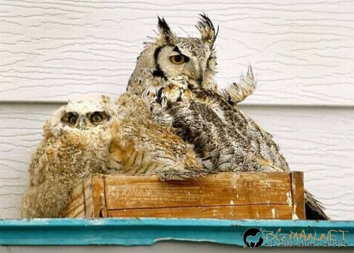 Най-интересни сники за днес - 17.05.2010 г.