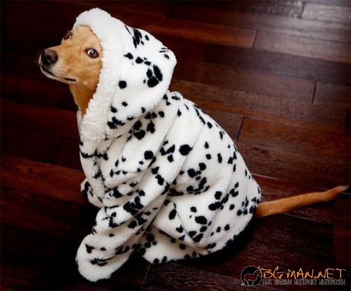 Най-интересни сники за днес - 17.05.2010 г.