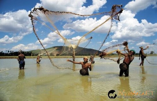 Най-интересни сники за днес - 17.05.2010 г.