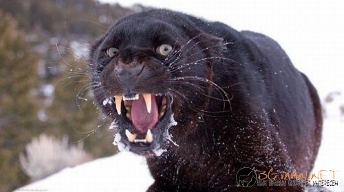 Най-интересни сники за днес - 17.05.2010 г.