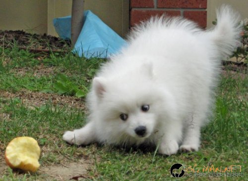 Най-интересни сники за днес - 17.05.2010 г.