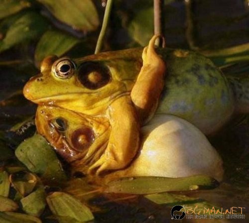 Най-интересни сники за днес - 17.05.2010 г.