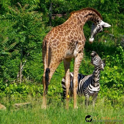 Най-интересни сники за днес - 17.05.2010 г.