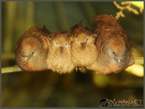 Най-интересни сники за днес - 17.05.2010 г.