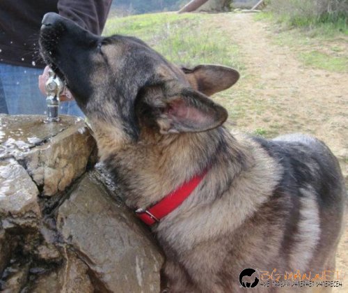 Най-интересни сники за днес - 17.05.2010 г.