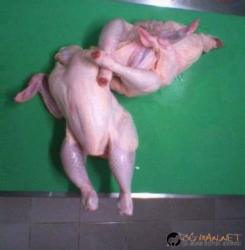 Най-интересни сники за днес - 17.05.2010 г.