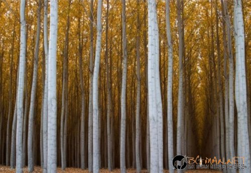 Най-интересни сники за днес - 17.05.2010 г.