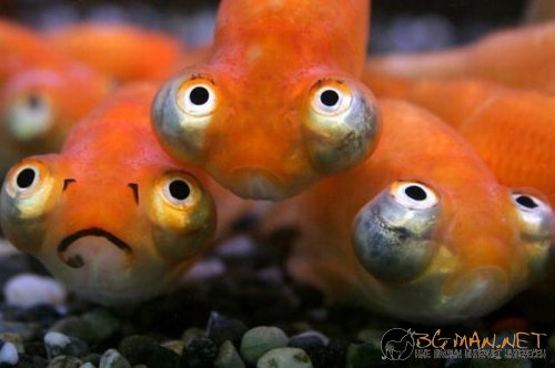 Най-интересни сники за днес - 17.05.2010 г.