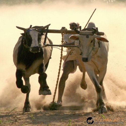 Най-интересни сники за днес - 17.05.2010 г.