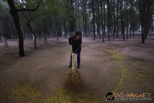 Най-интересни сники за днес - 17.05.2010 г.