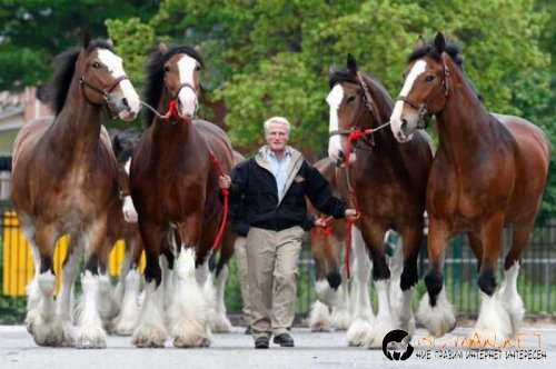 Най-интересни сники за днес - 17.05.2010 г.