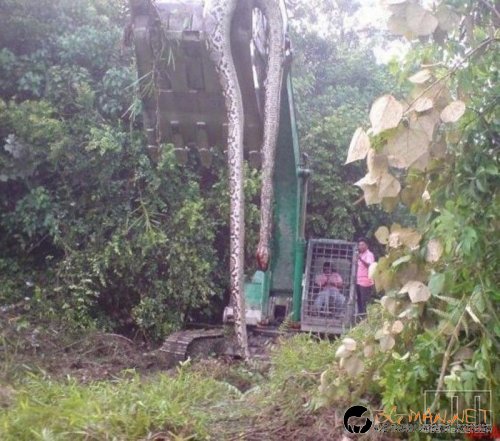 Най-интересни сники за днес - 17.05.2010 г.