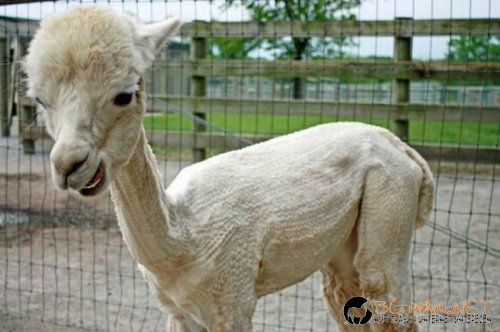 Най-интересни сники за днес - 17.05.2010 г.