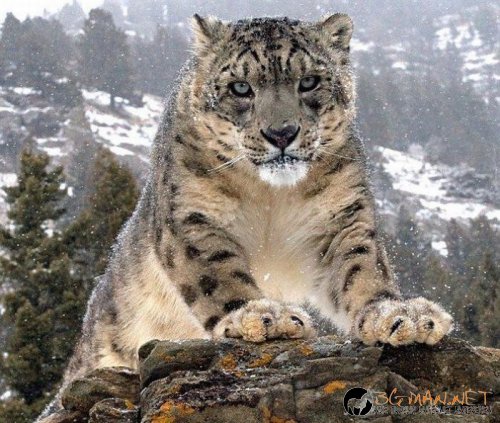 Най-интересни сники за днес - 17.05.2010 г.