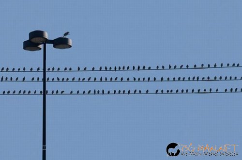 Най-интересни сники за днес - 17.05.2010 г.