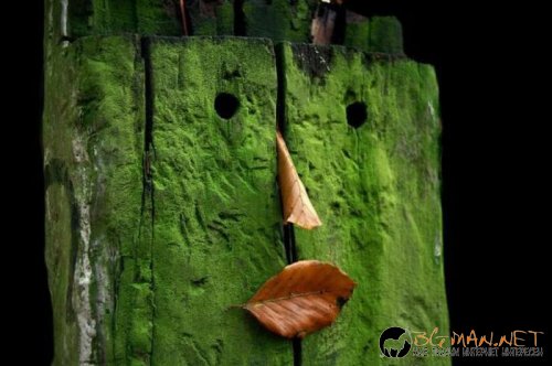 Най-интересни сники за днес - 17.05.2010 г.