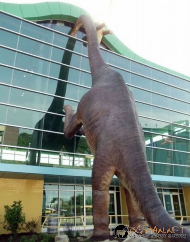 Най-интересни сники за днес - 17.05.2010 г.