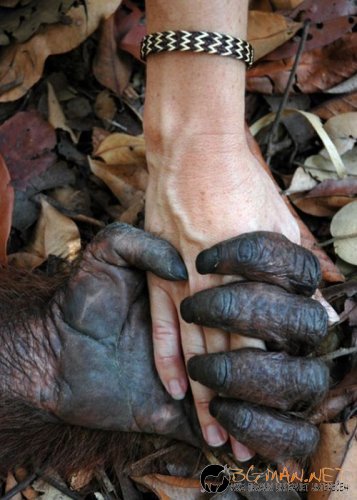 Най-интересни сники за днес - 17.05.2010 г.