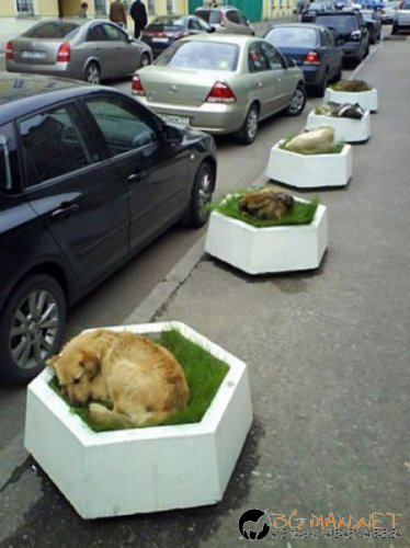 Най-интересни сники за днес - 17.05.2010 г.