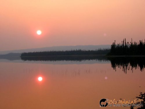 Красиви залези