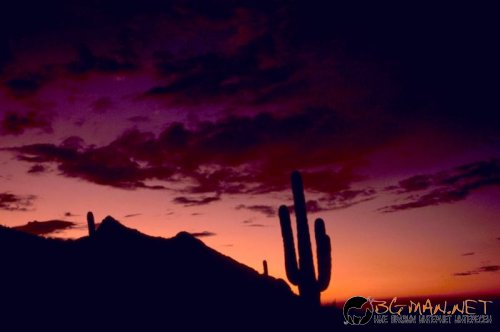 Красиви залези