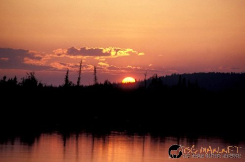 Красиви залези