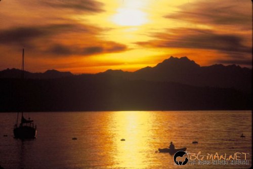 Красиви залези