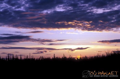 Красиви залези