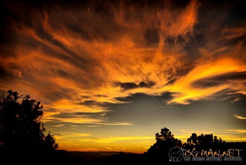 Красиви залези