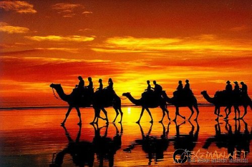 Красиви залези