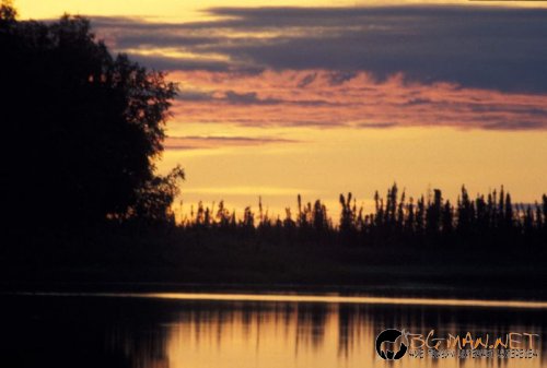 Красиви залези