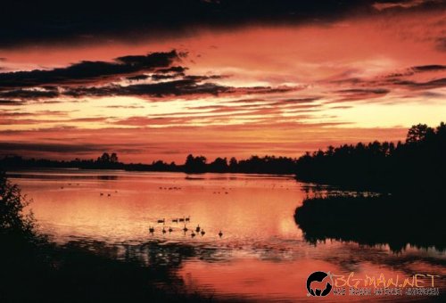 Красиви залези