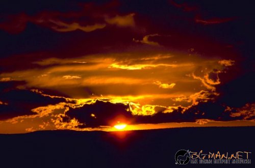 Красиви залези