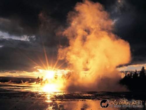 Красиви залези